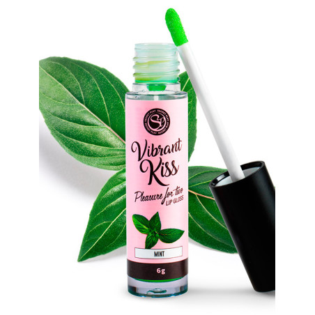 Gloss Vibrante - Menta