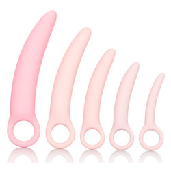 Kit Dildos Dilatadores Vaginais Inspire