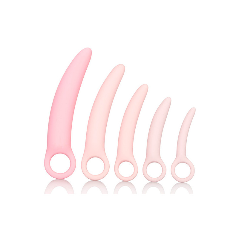 Kit Dildos Dilatadores Vaginais Inspire