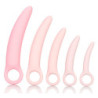 Kit Dildos Dilatadores Vaginais Inspire