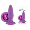 Plug Anal Glams - Roxo