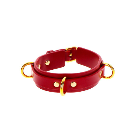 Coleira Com Argola Deluxe
