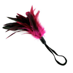 Pena Erótica - Rosa
