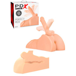 Torso Com Penis - 15cm