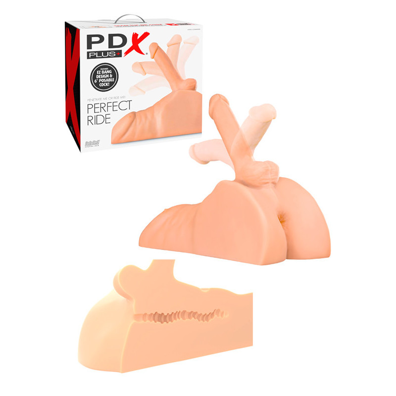 Torso Com Penis - 15cm